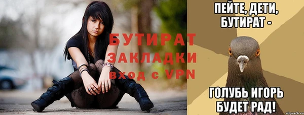 стаф Кодинск