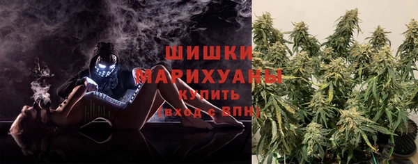 стаф Кодинск