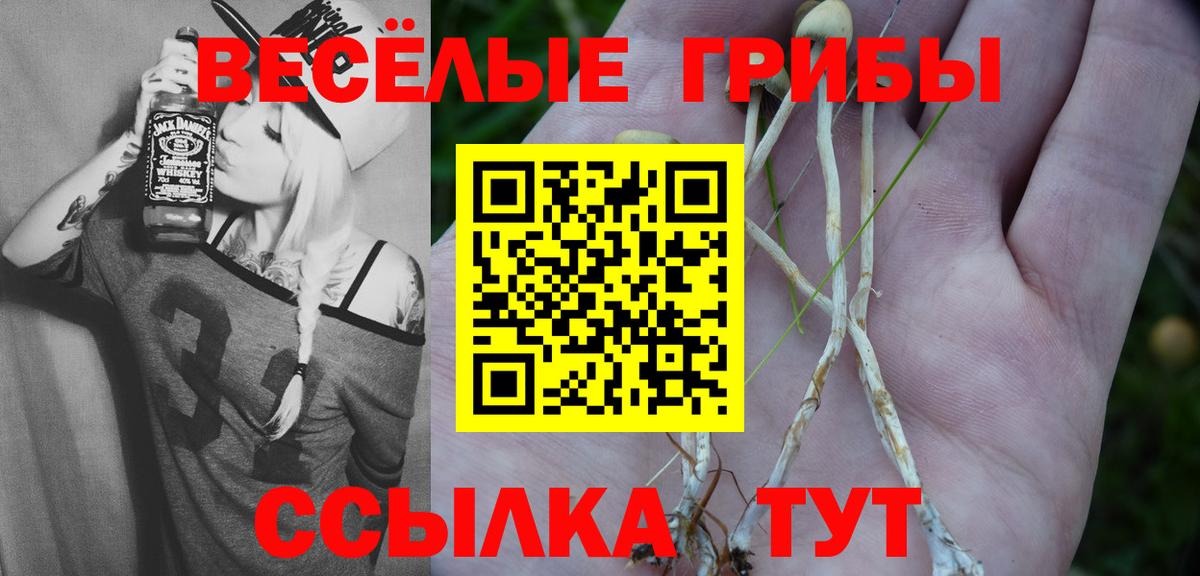 Псилоцибиновые грибы прущие грибы  Псилоцибиновые грибы ЛСД  Балаково  даркнет сайт  Вход с VPN 